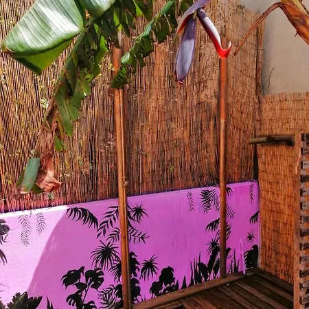 Hostel Captain's Log House Baleal