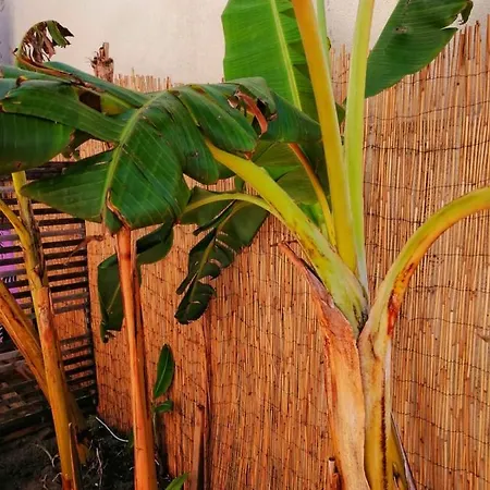 Captain's Log House Auberge de jeunesse Baleal