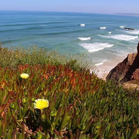 Captain's Log House Auberge de jeunesse Baleal