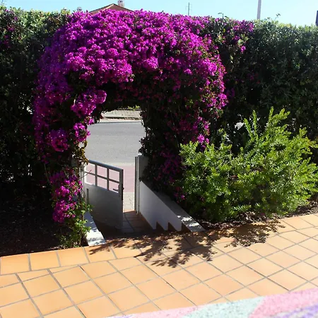 Auberge de jeunesse Captain's Log House Baleal