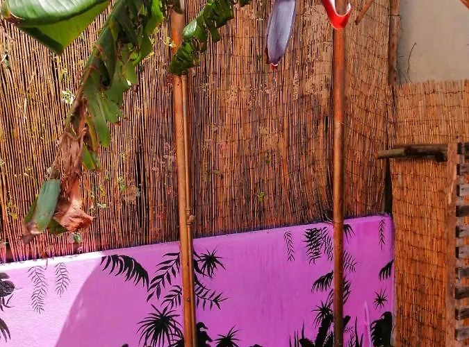 Hostel Captain's Log House Baleal