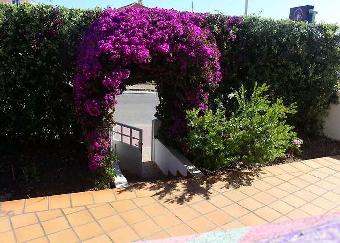 Hostel Captain's Log House Baleal