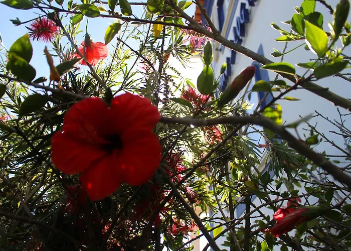 Captain's Log House Auberge de jeunesse